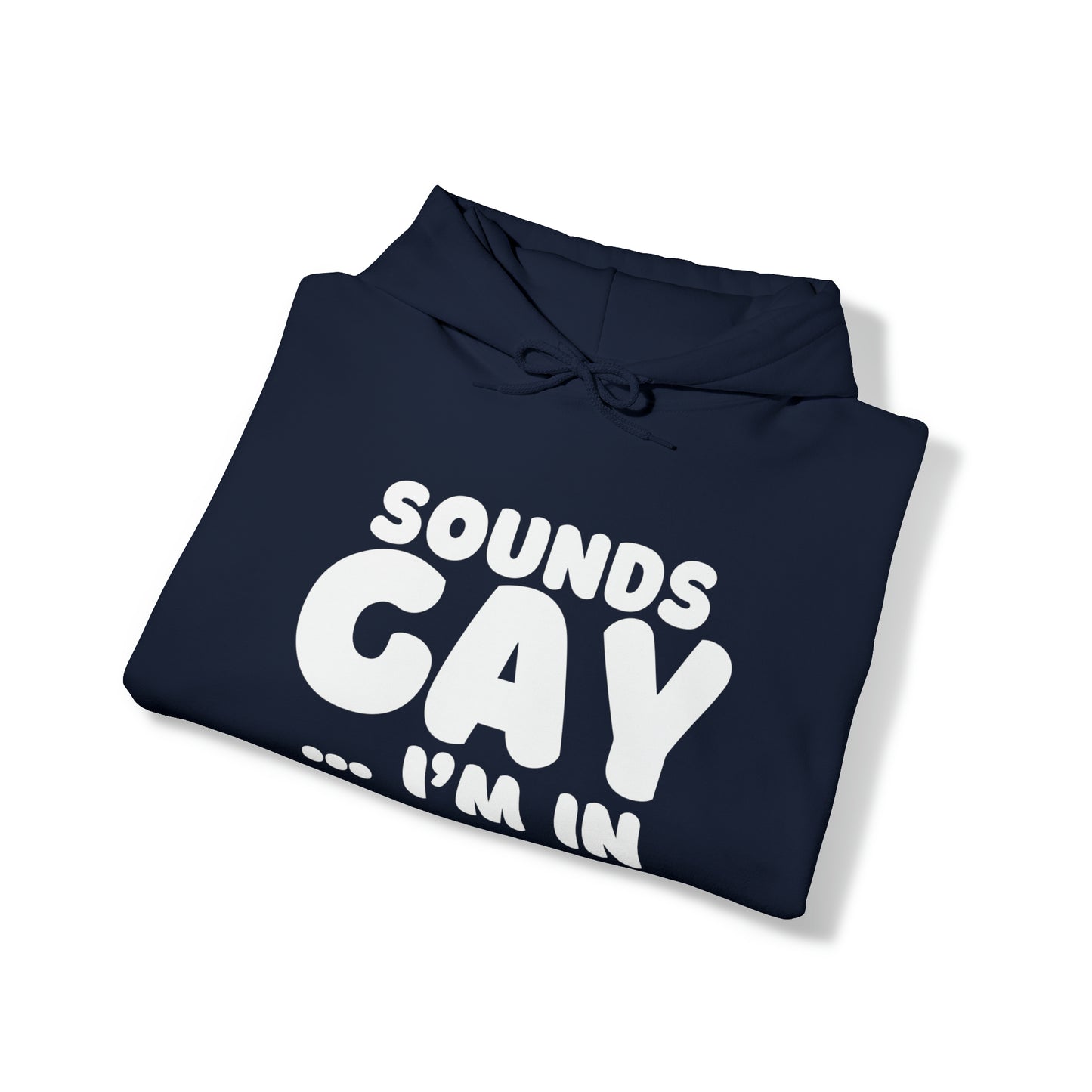 Sounds Gay Hoodie