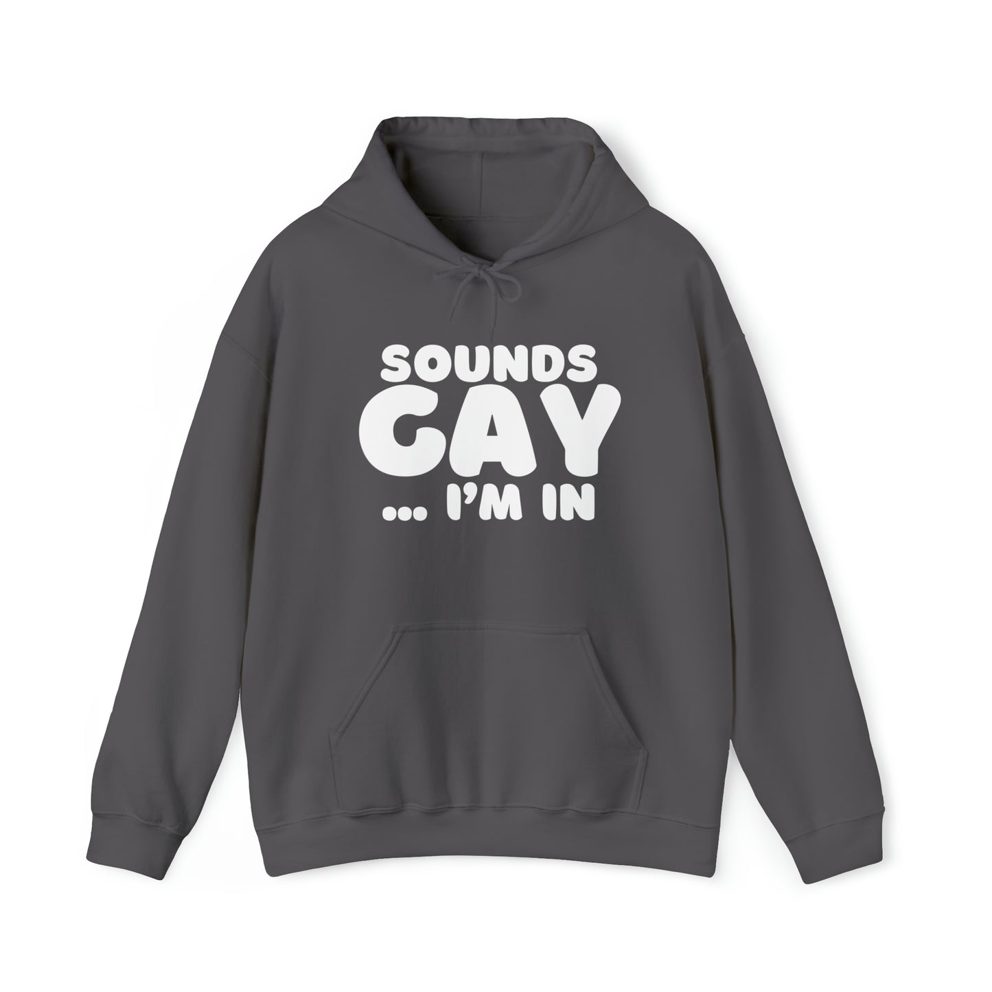 Sounds Gay Hoodie