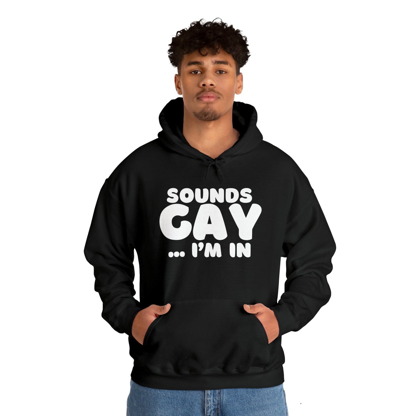 Sounds Gay Hoodie
