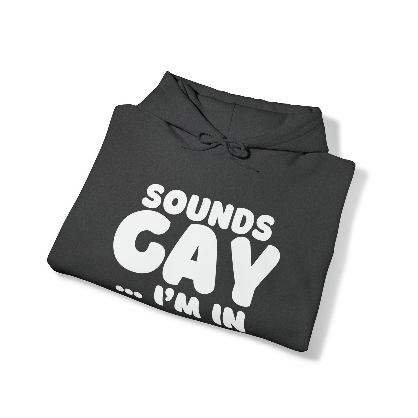 Sounds Gay Hoodie