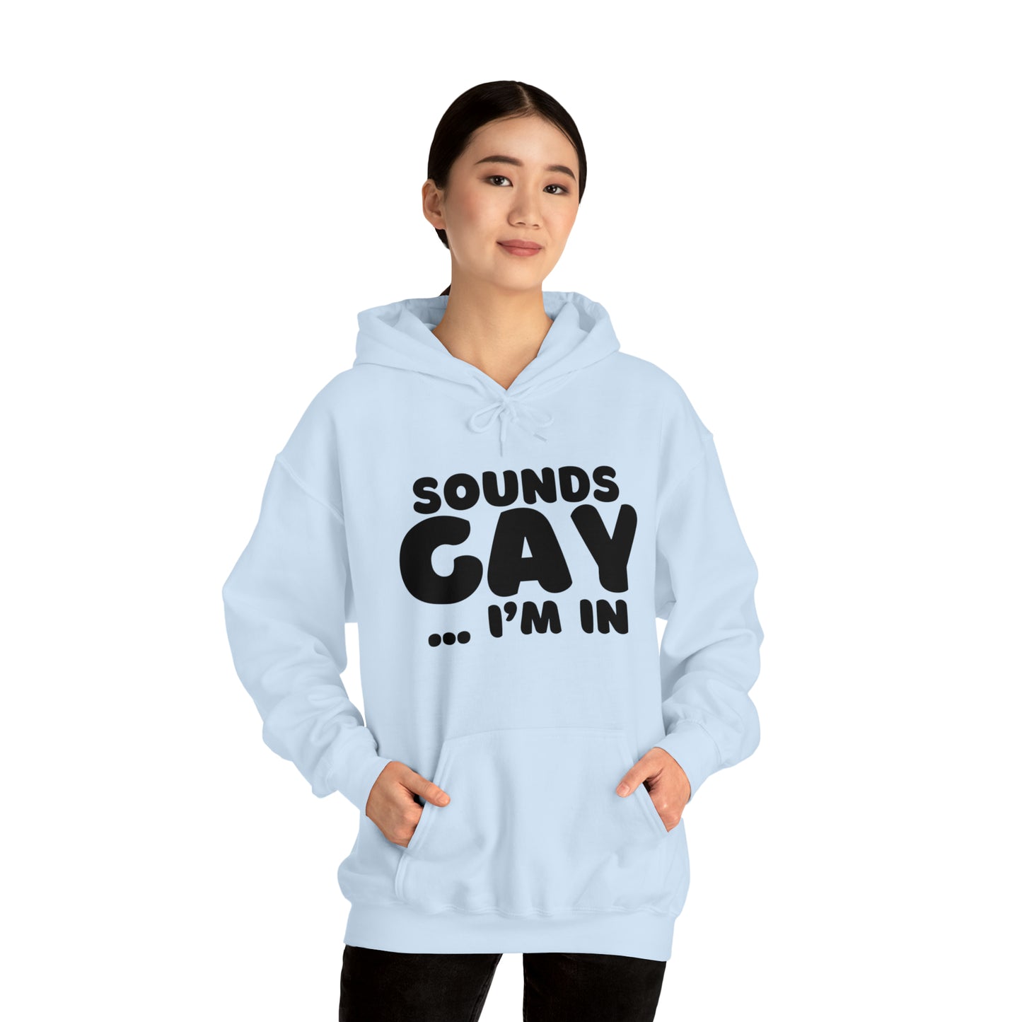 Sounds Gay Hoodie