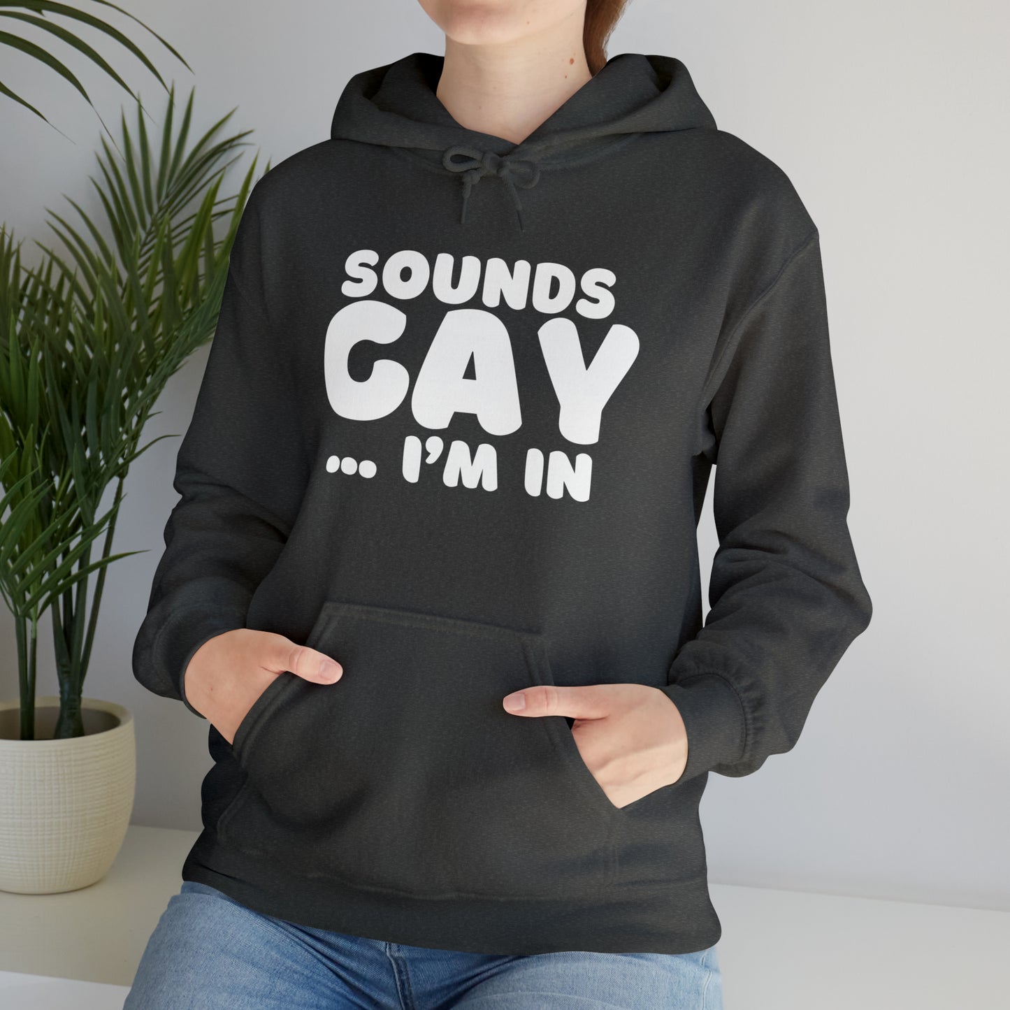 Sounds Gay Hoodie