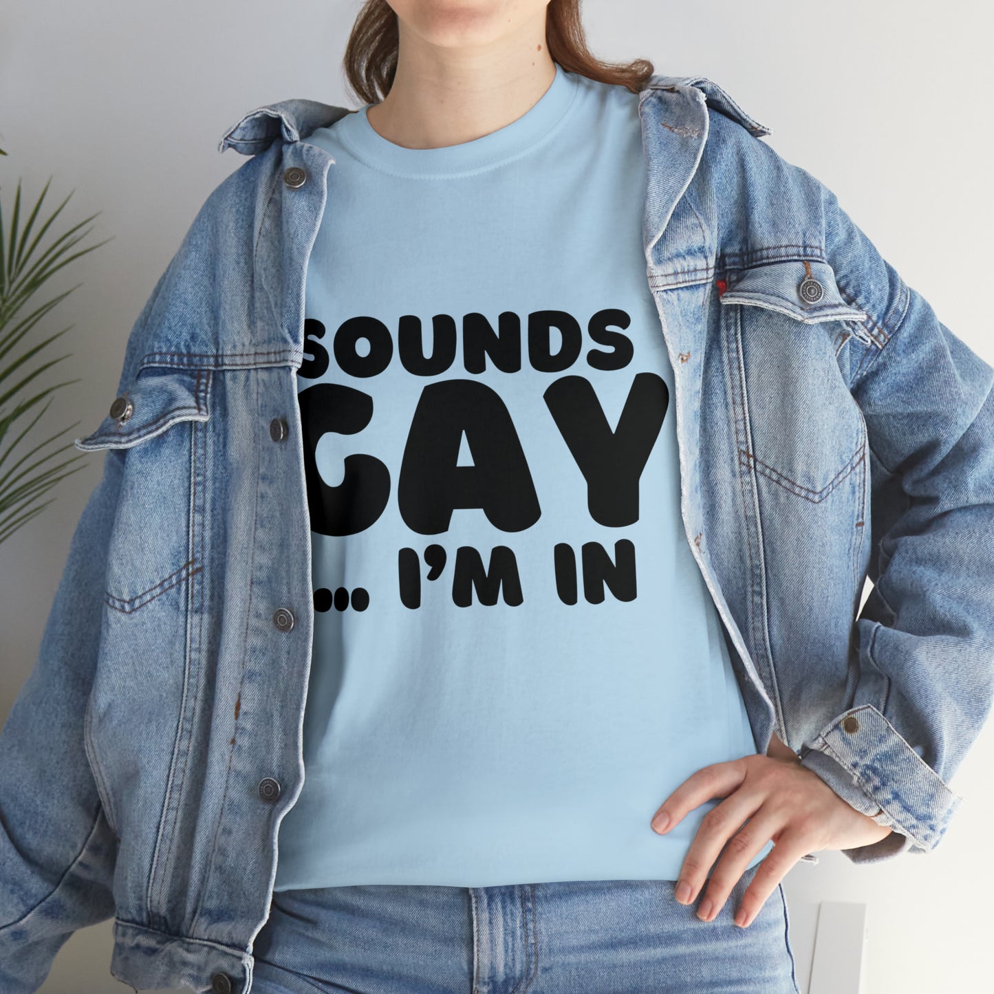 Sounds Gay... I'm In T-Shirt