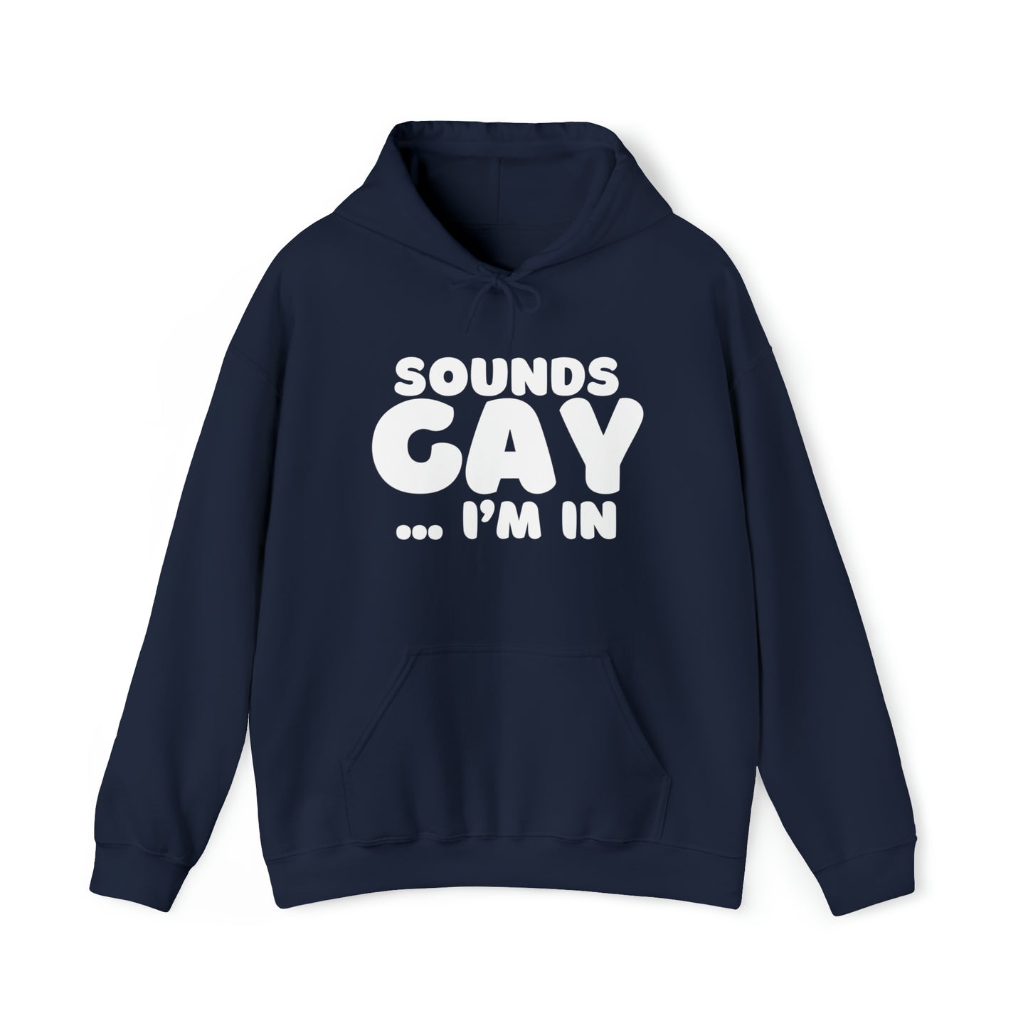 Sounds Gay Hoodie