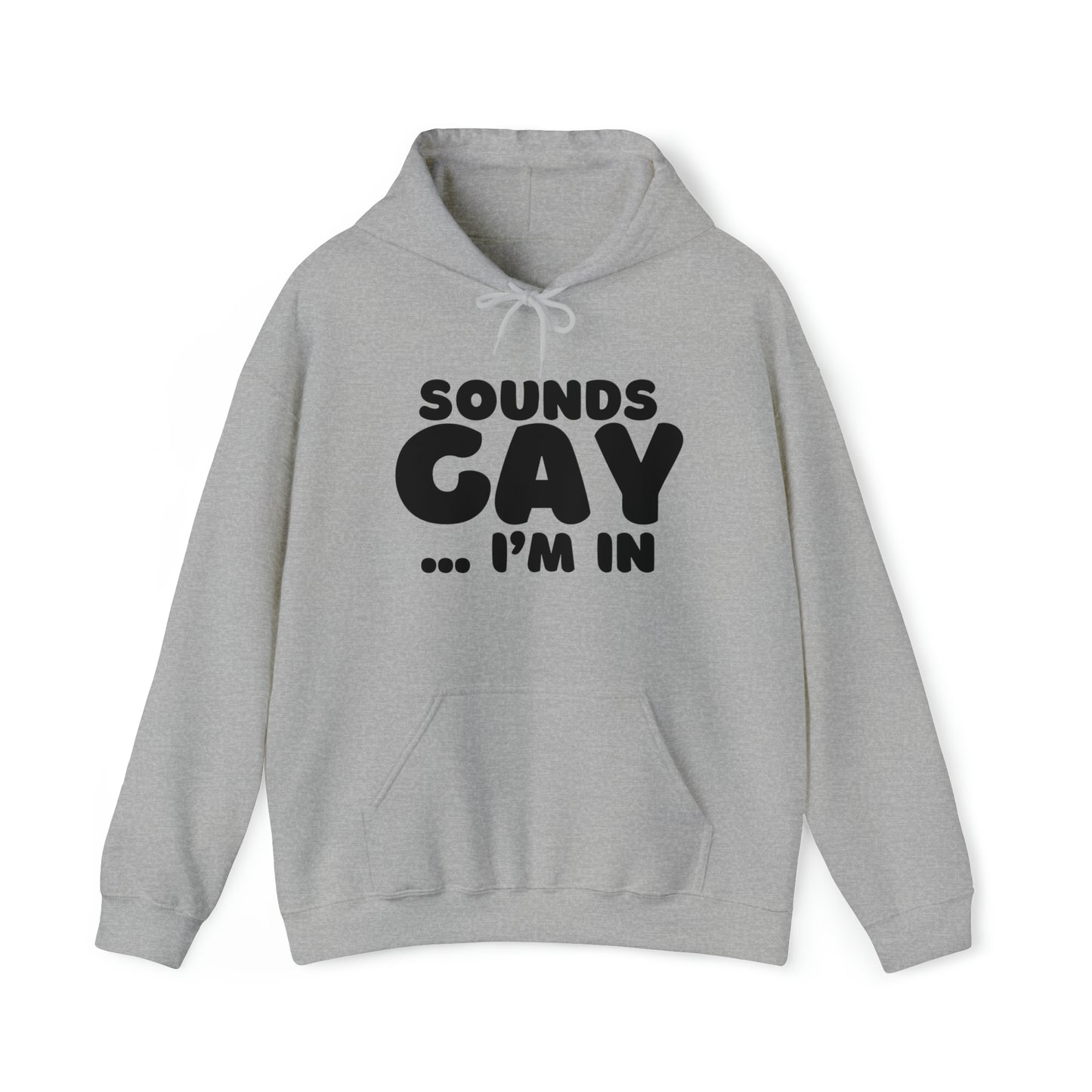 Sounds Gay Hoodie