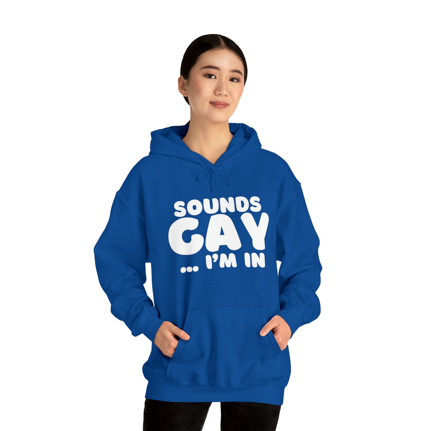 Sounds Gay Hoodie