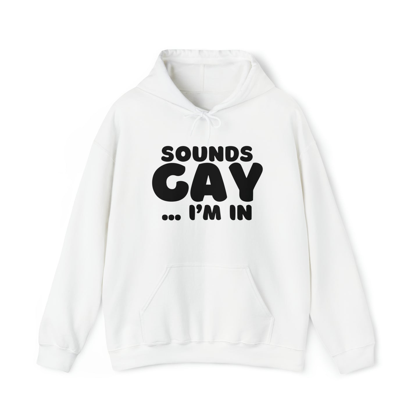 Sounds Gay Hoodie