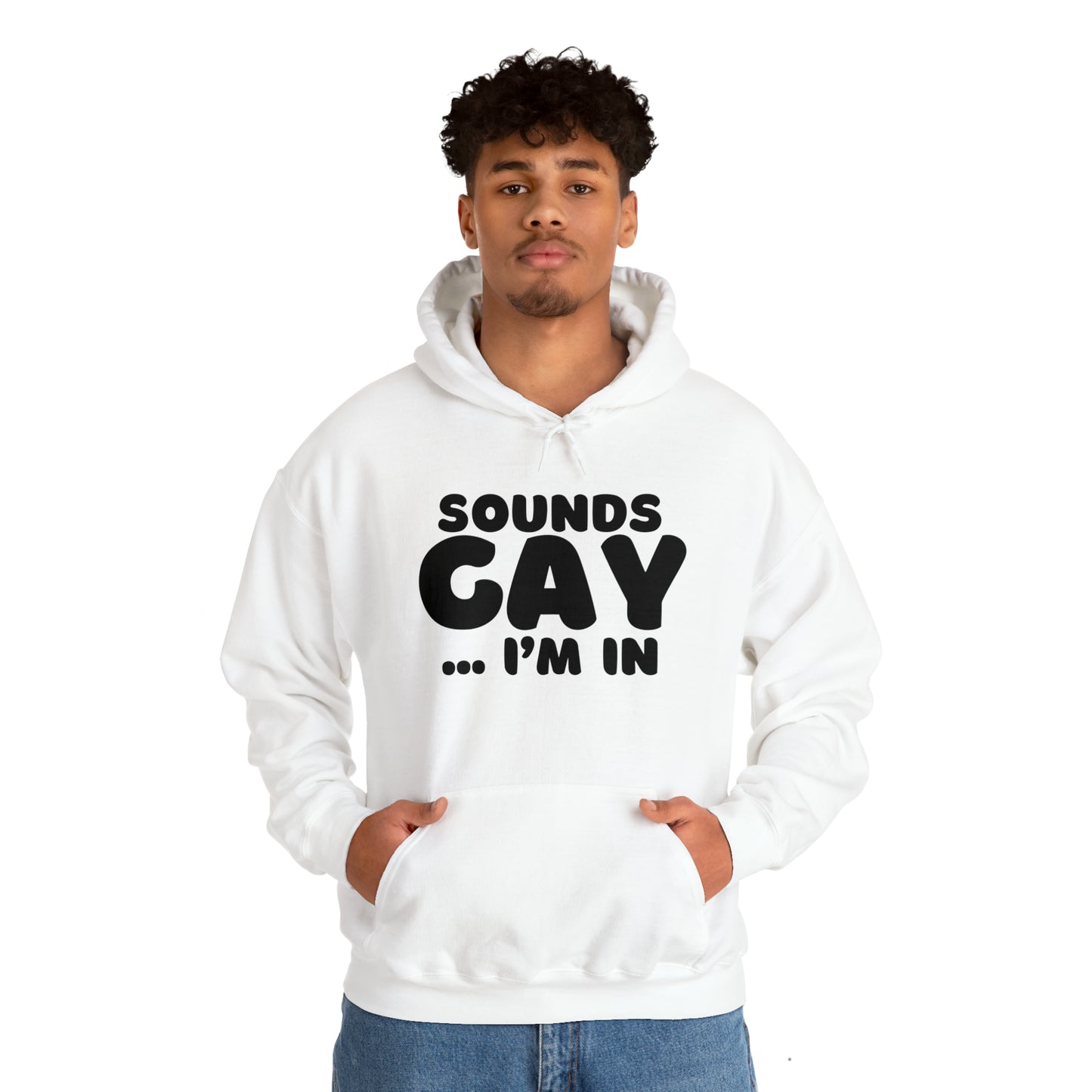 Sounds Gay Hoodie