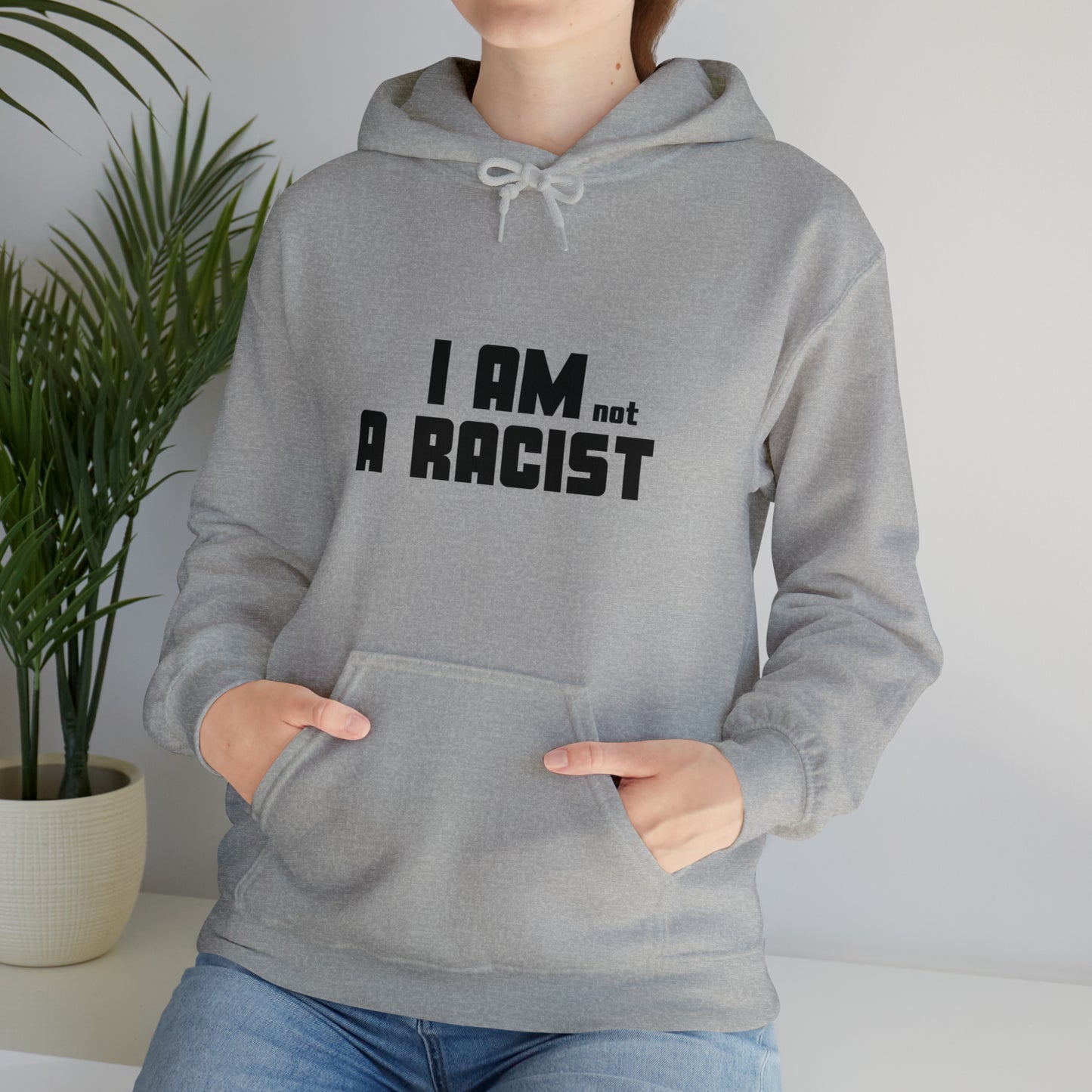 I am NOT a Racist Hoodie