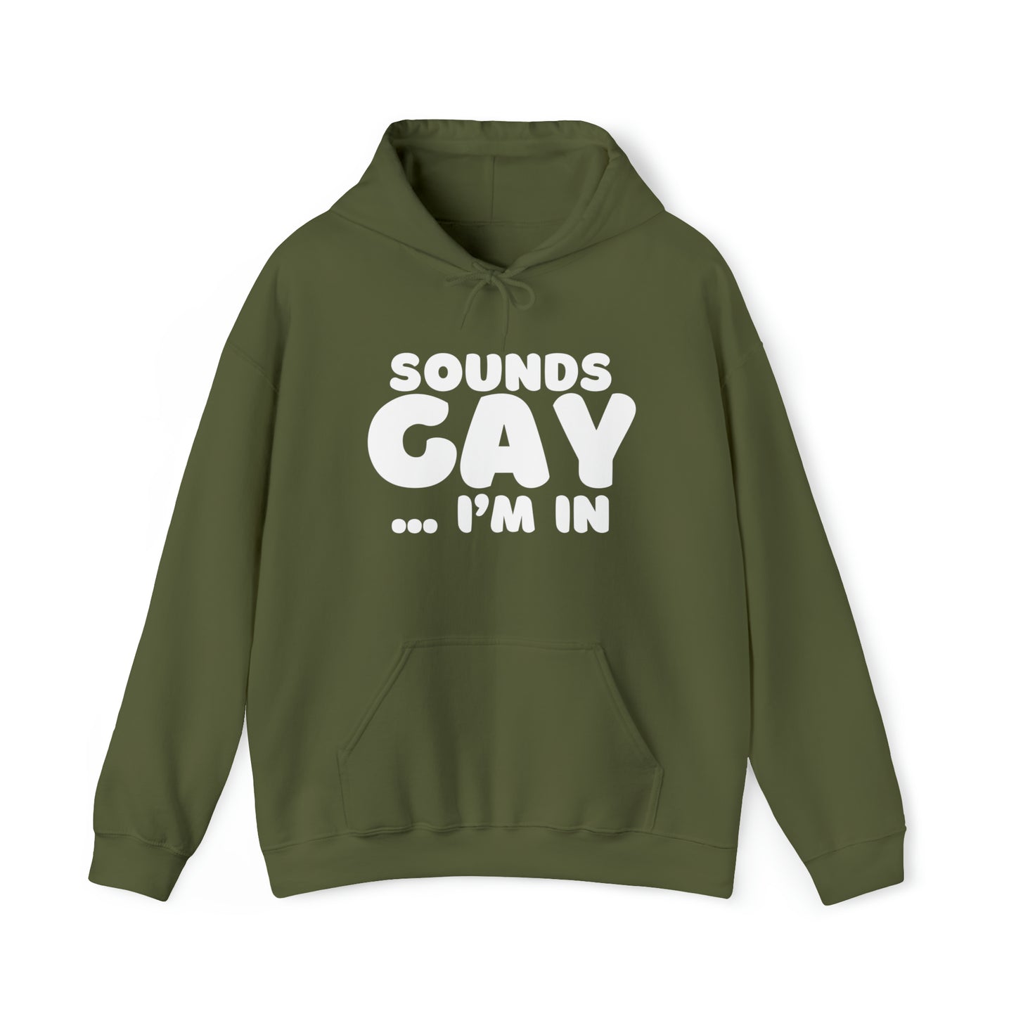 Sounds Gay Hoodie