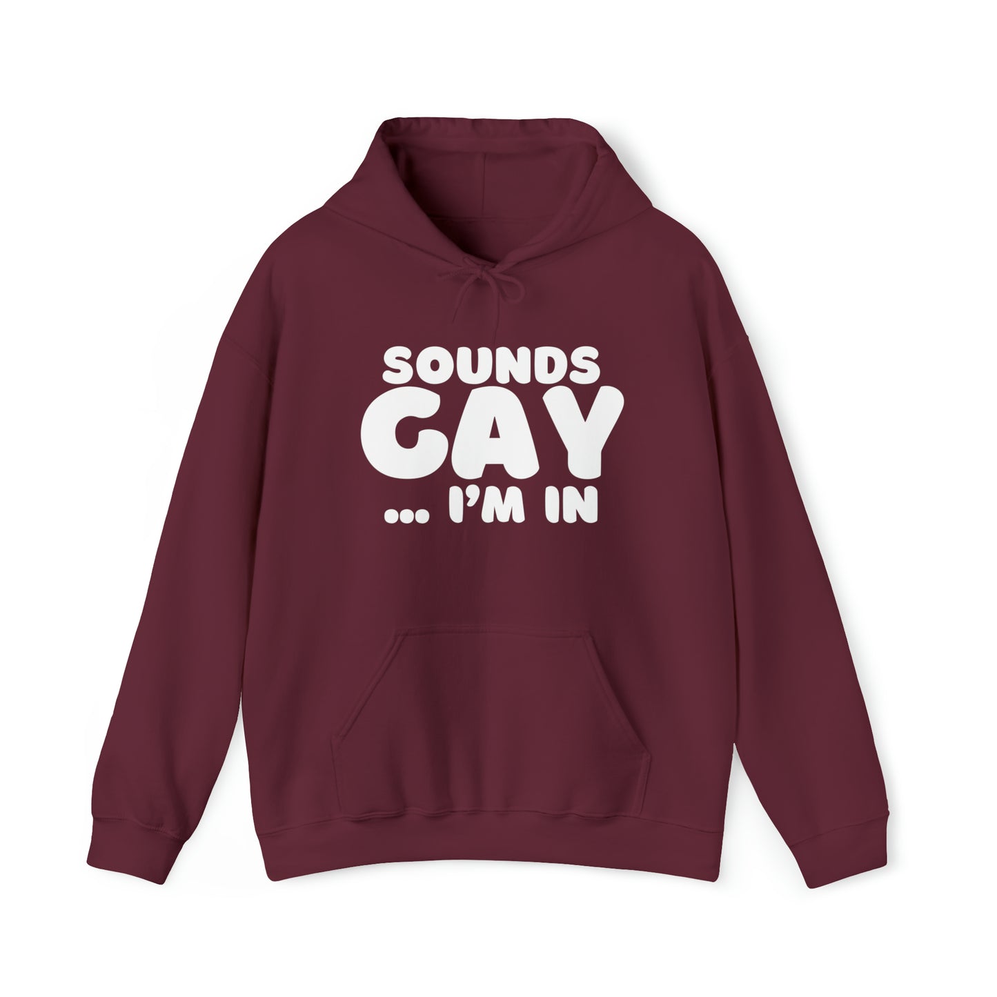 Sounds Gay Hoodie