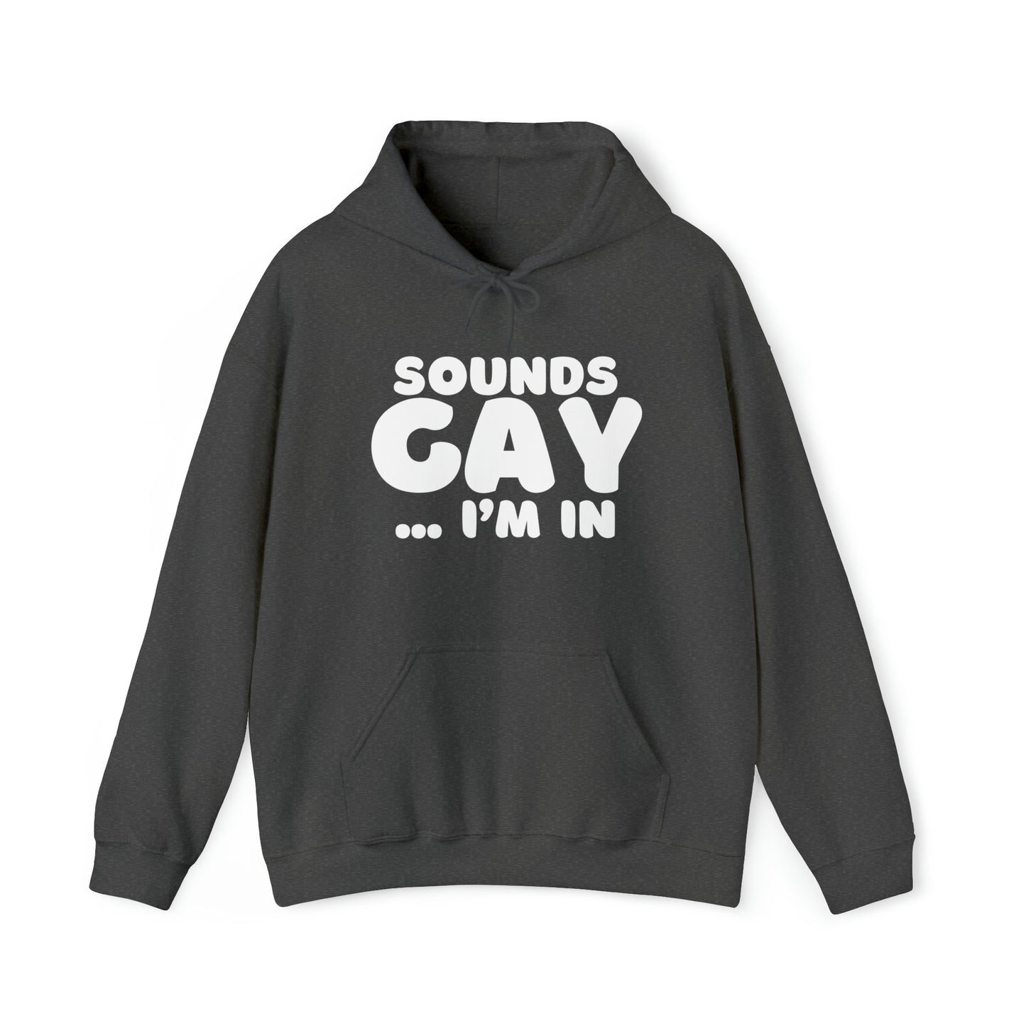 Sounds Gay Hoodie