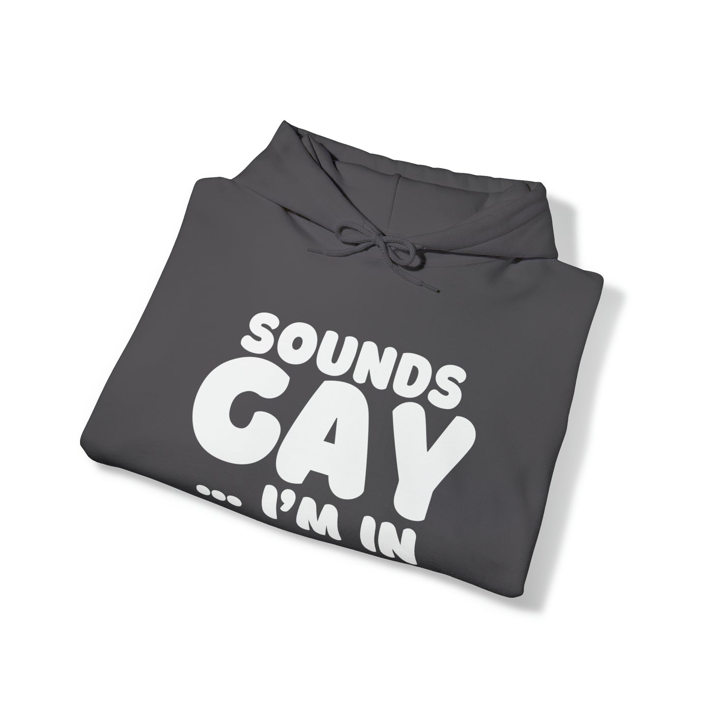 Sounds Gay Hoodie