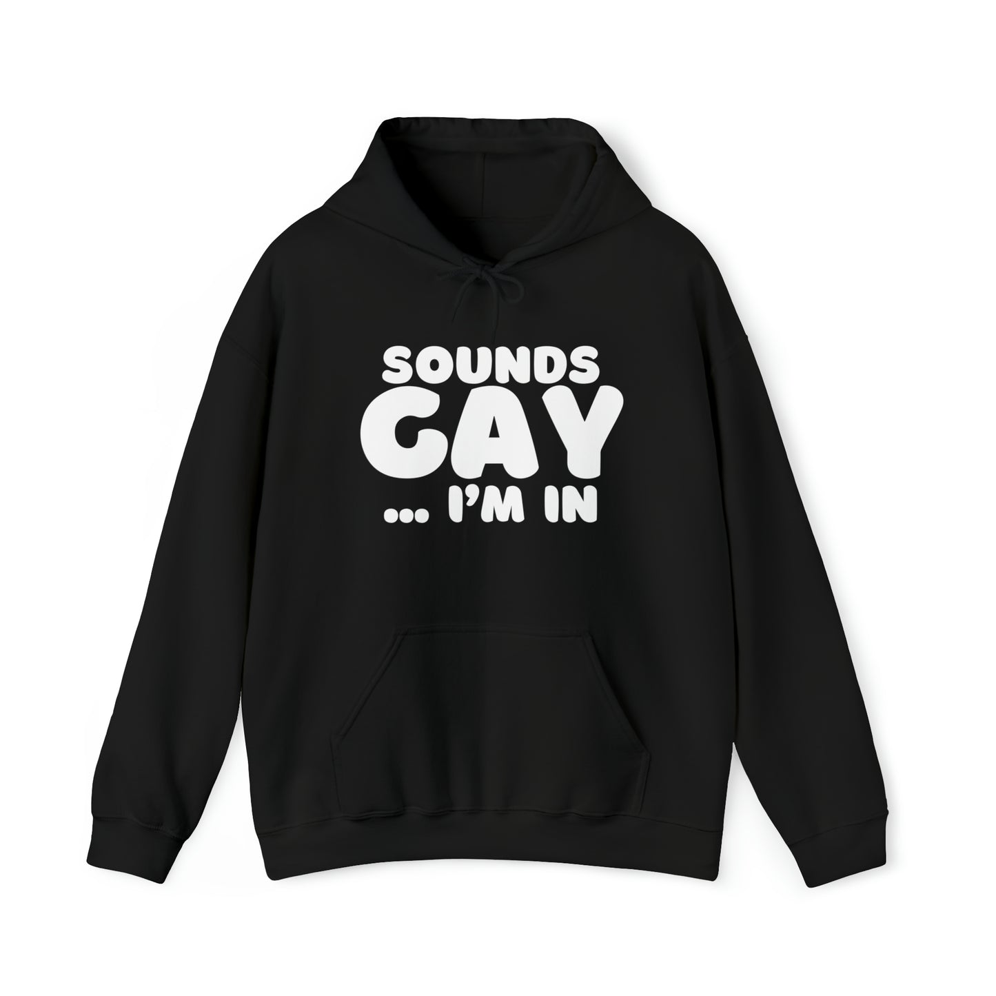 Sounds Gay Hoodie