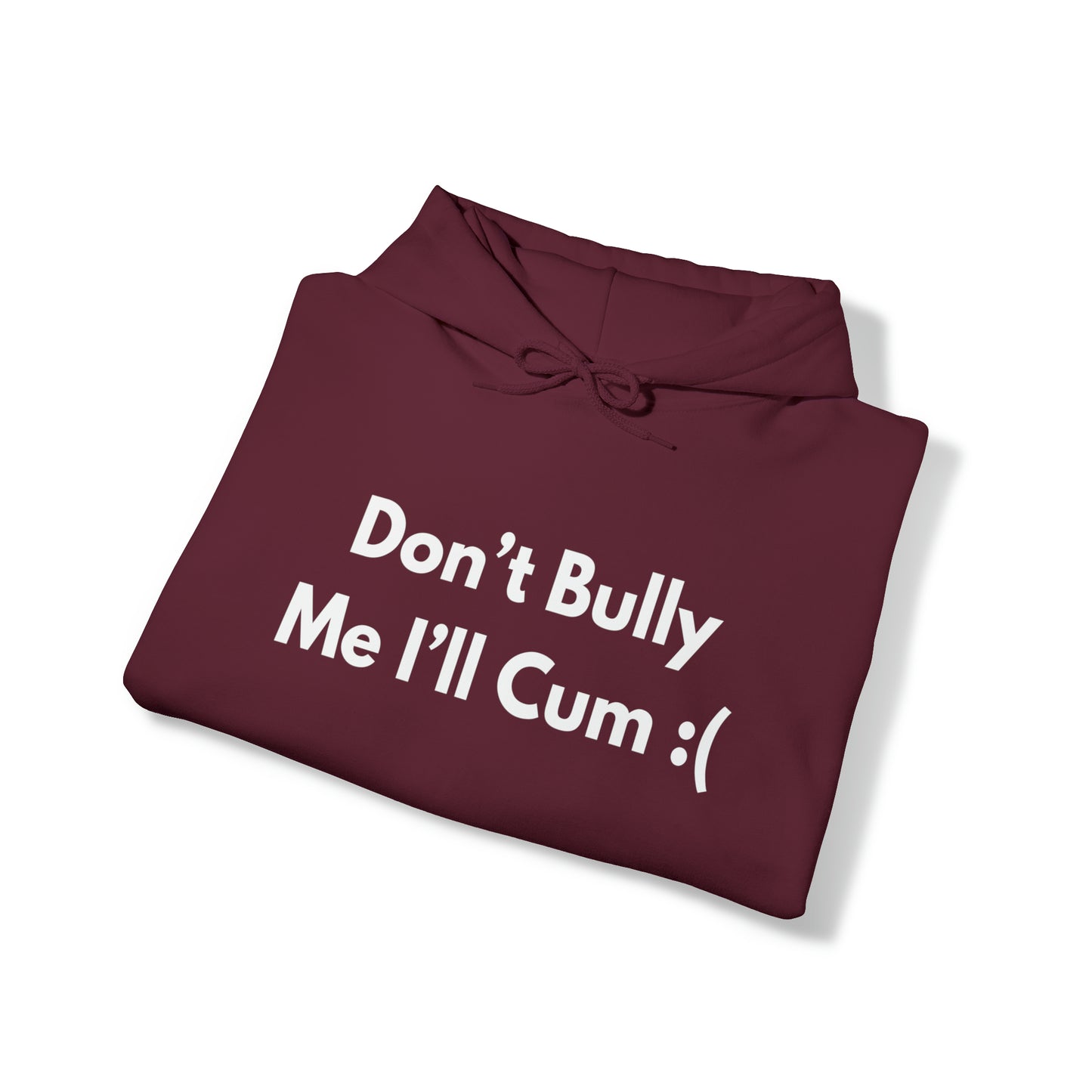 Don't Bully Me I'll Cum Hoodie