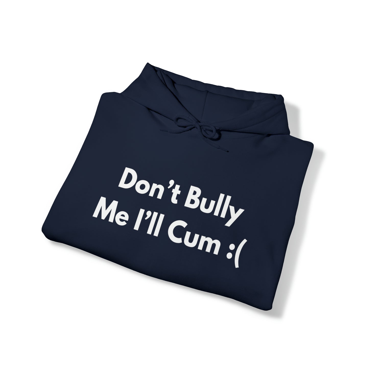 Don't Bully Me I'll Cum Hoodie