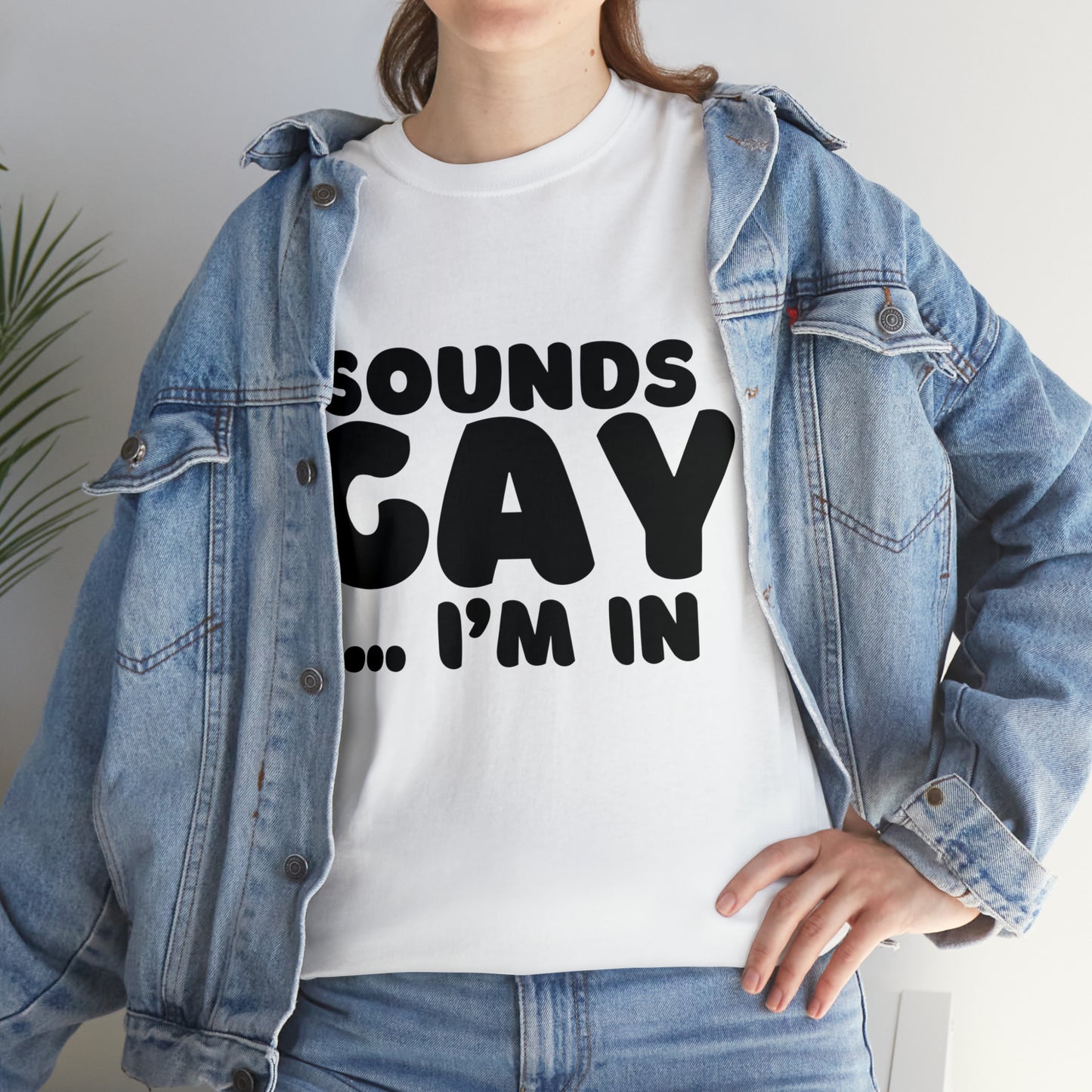 Sounds Gay... I'm In T-Shirt