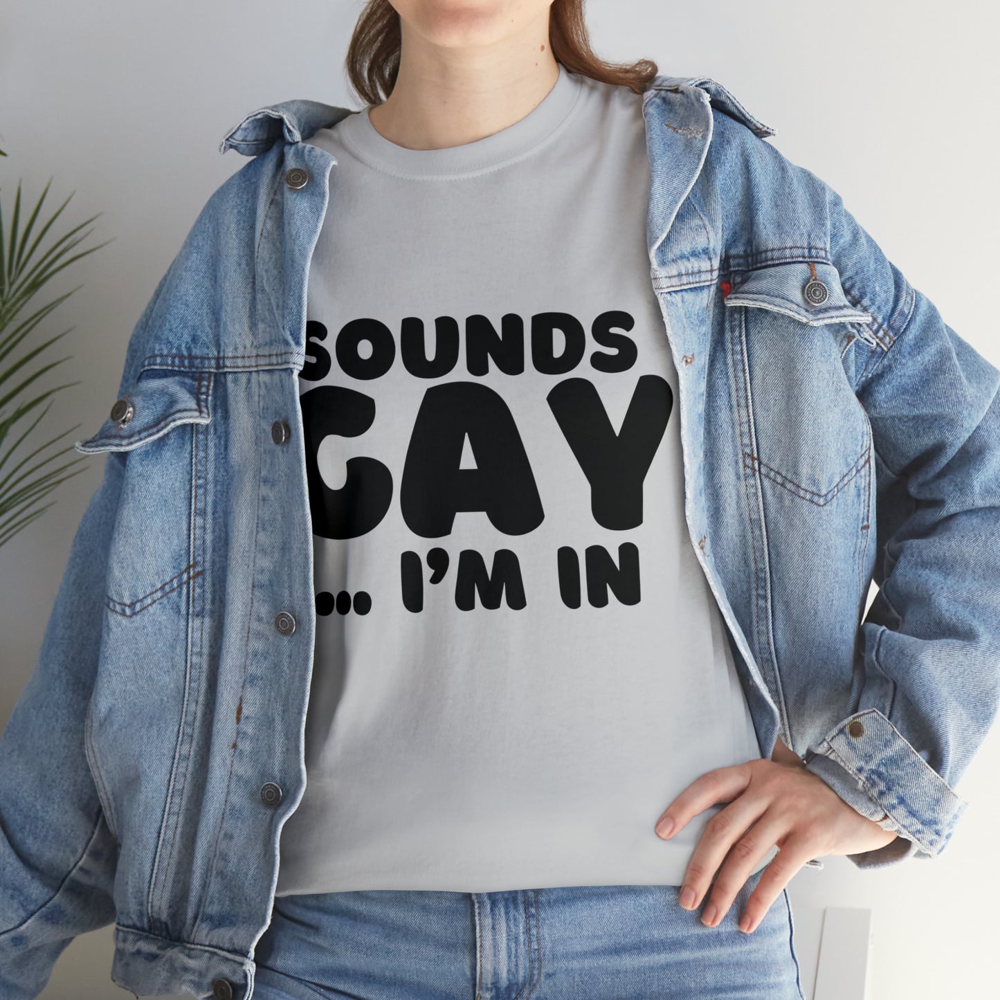 Sounds Gay... I'm In T-Shirt