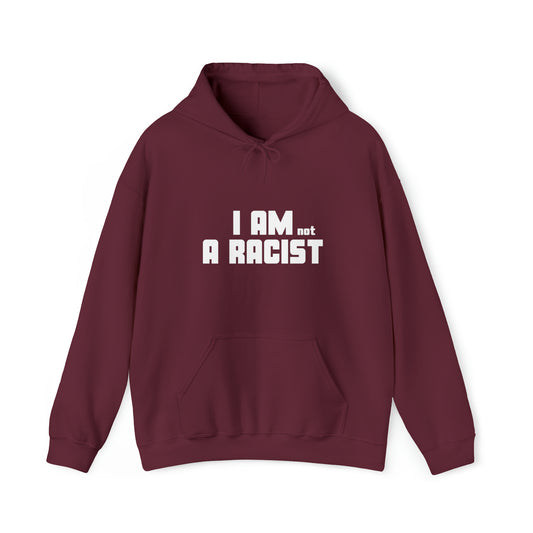 I am NOT a Racist Hoodie