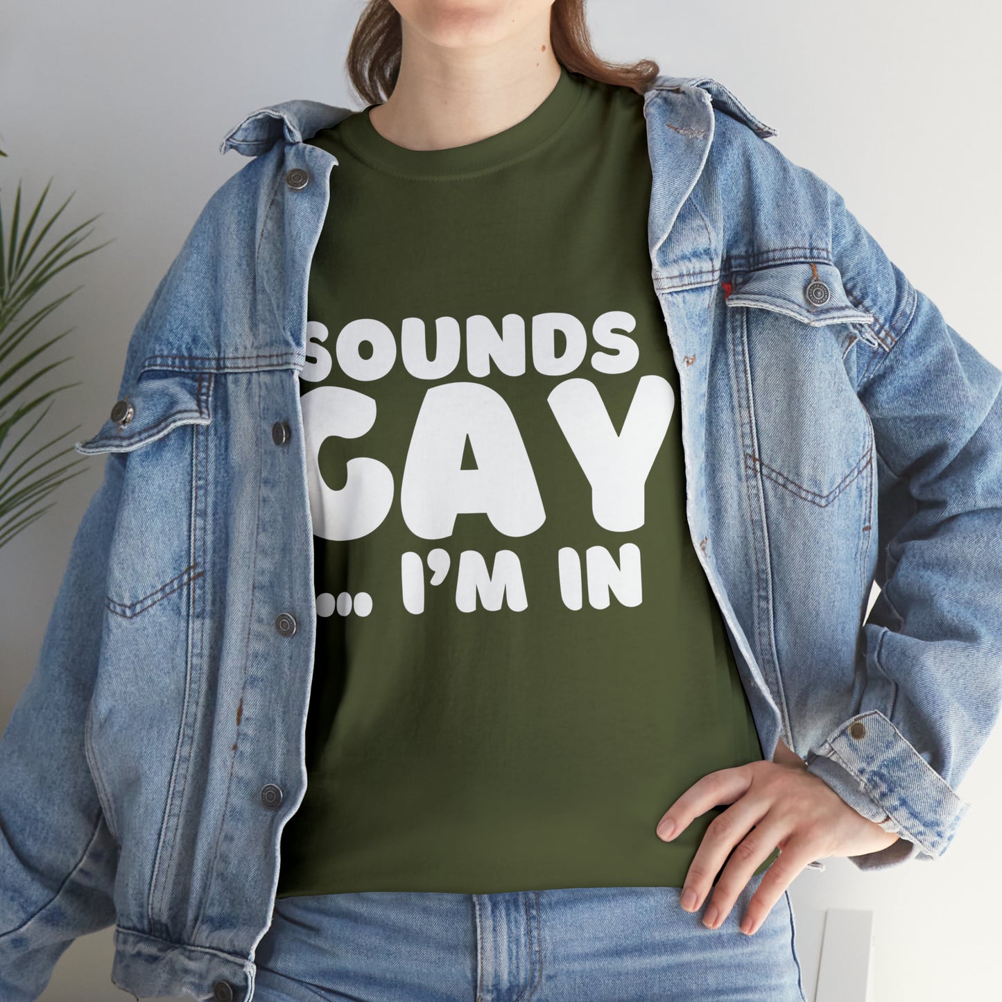 Sounds Gay... I'm In T-Shirt